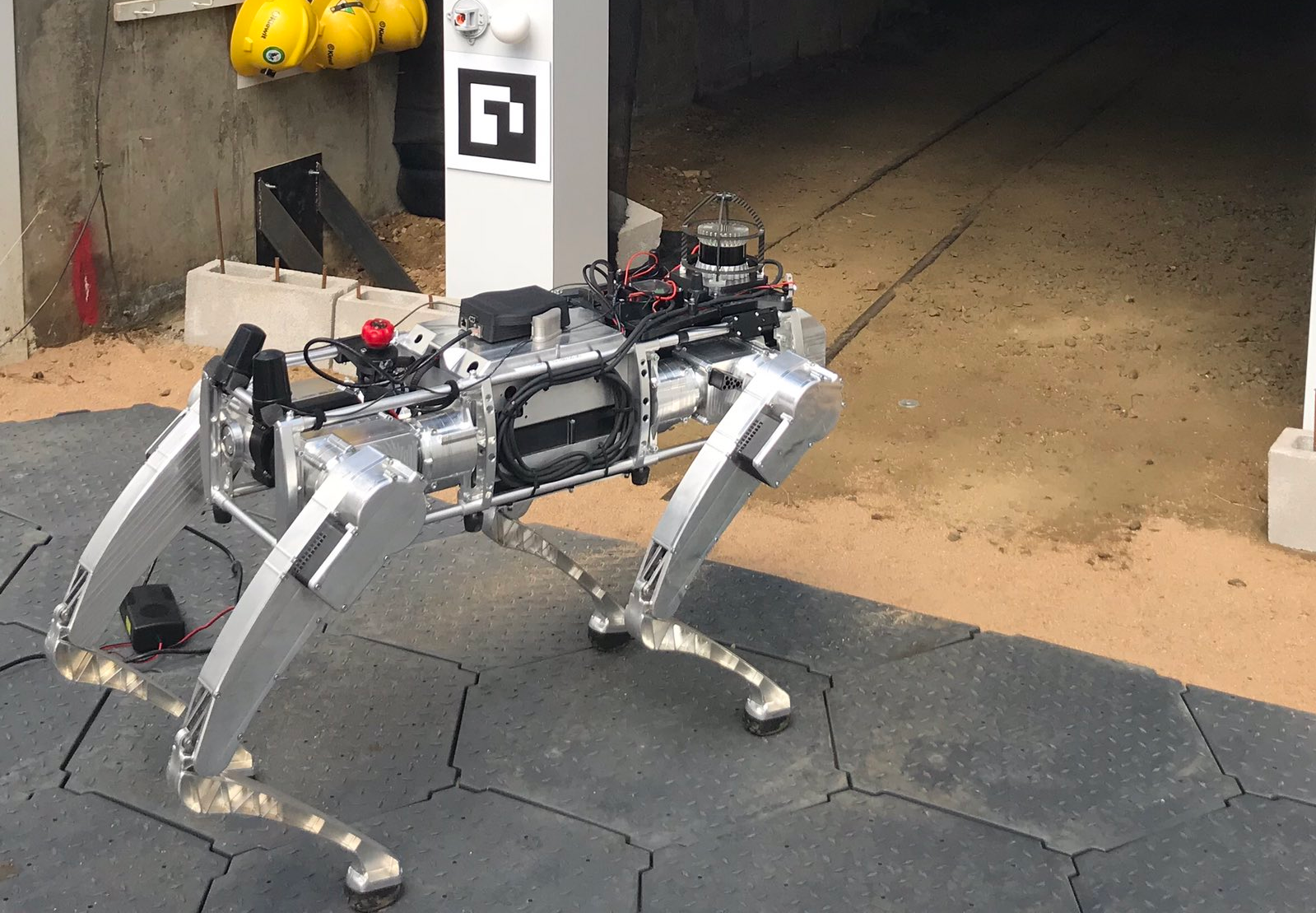 Robot Dog